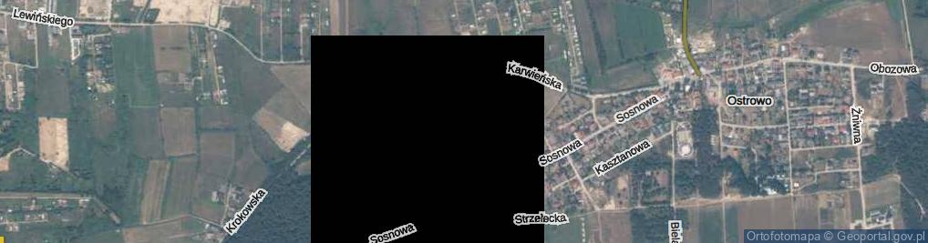 Zdjęcie satelitarne Do Źródełka ul.