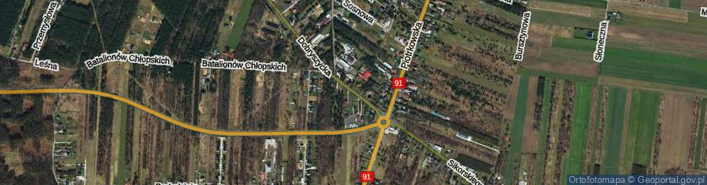 Zdjęcie satelitarne Dobryszycka ul.