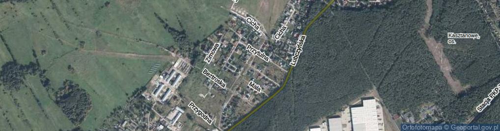 Zdjęcie satelitarne Domowa ul.