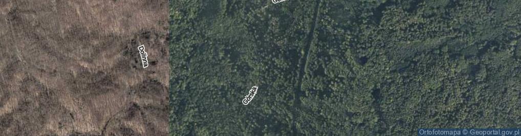 Zdjęcie satelitarne Droga Górska ul.