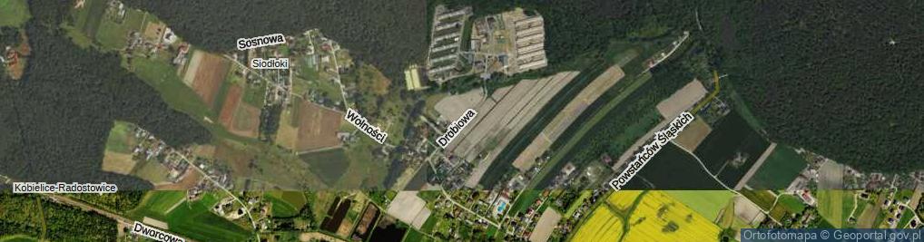 Zdjęcie satelitarne Drobiowa ul.