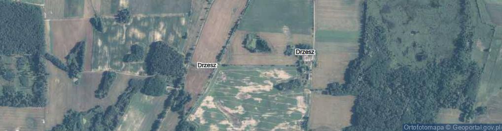 Zdjęcie satelitarne Drzesz ul.
