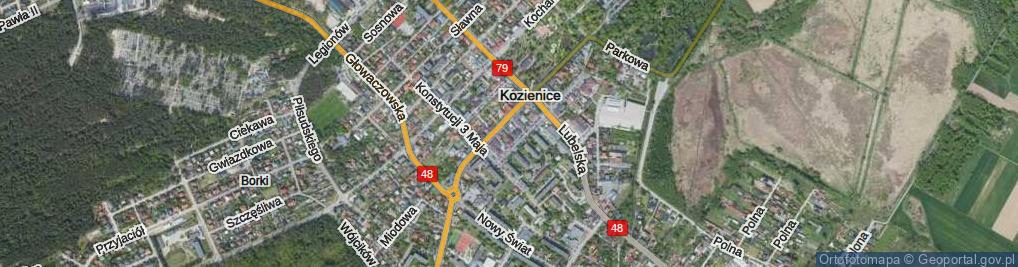 Zdjęcie satelitarne Drzewna ul.