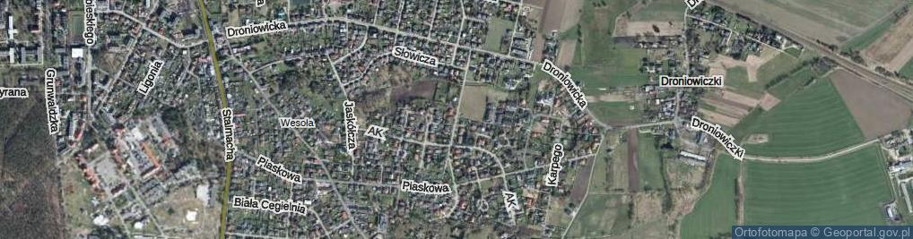 Zdjęcie satelitarne Drozdów ul.