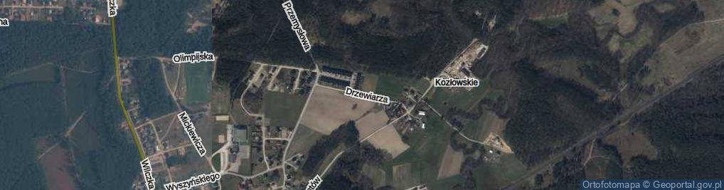 Zdjęcie satelitarne Drzewiarza ul.