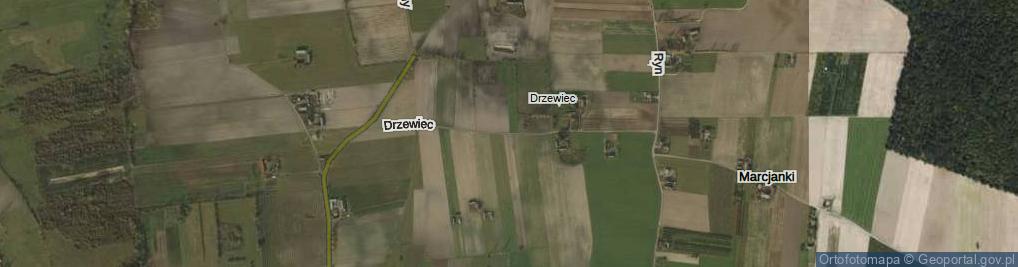 Zdjęcie satelitarne Drzewiec ul.