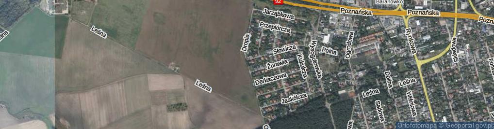 Zdjęcie satelitarne Dropia ul.