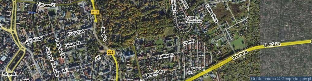 Zdjęcie satelitarne Druyffa Jana ul.