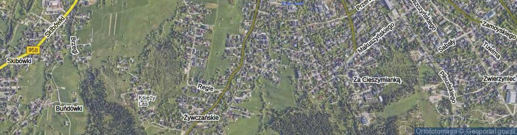 Zdjęcie satelitarne Droga do Wantuli ul.