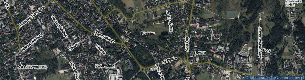 Zdjęcie satelitarne Droga na Koziniec ul.