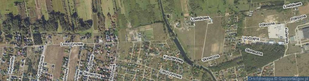 Zdjęcie satelitarne Drzewna ul.