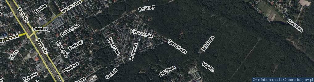 Zdjęcie satelitarne Dulczyńska ul.