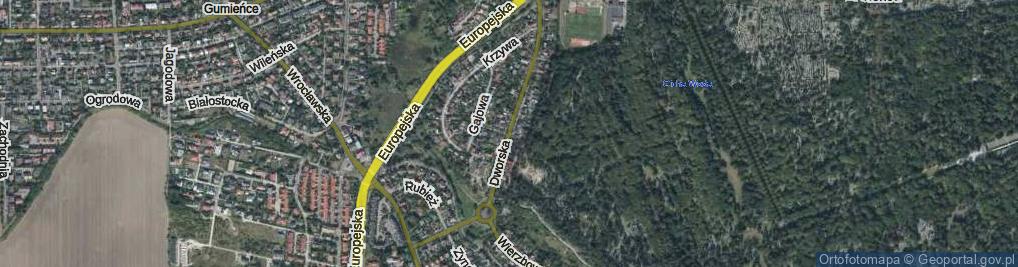 Zdjęcie satelitarne Dworska ul.