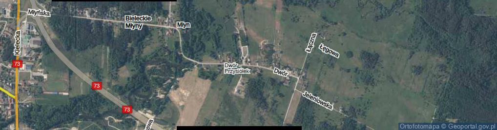 Zdjęcie satelitarne Dwór ul.