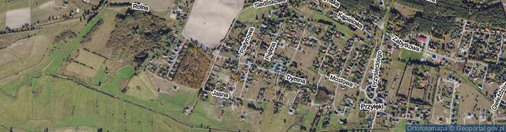 Zdjęcie satelitarne Dymna ul.