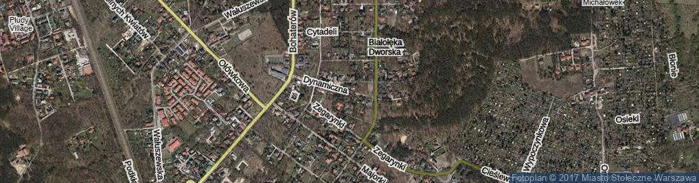 Zdjęcie satelitarne Dynamiczna ul.
