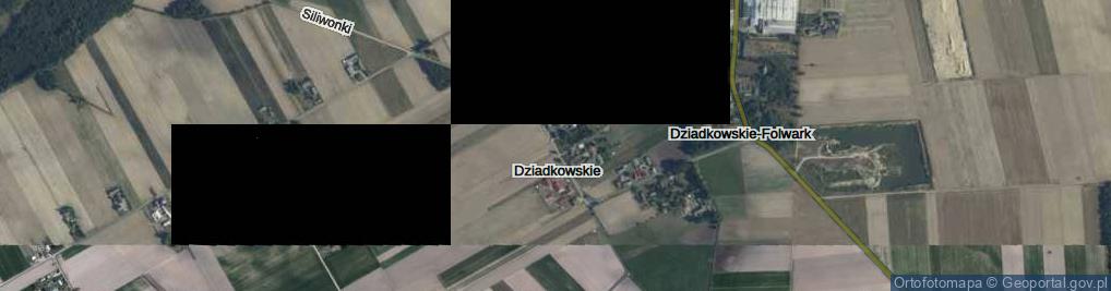 Zdjęcie satelitarne Dziadkowskie ul.