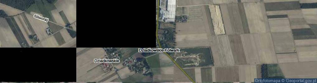 Zdjęcie satelitarne Dziadkowskie-Folwark ul.
