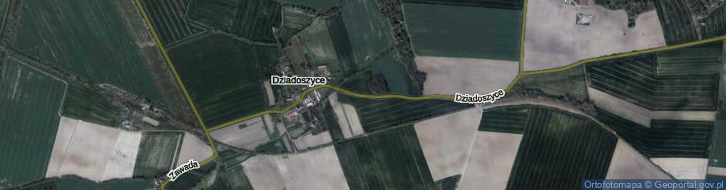 Zdjęcie satelitarne Dziadoszyce ul.