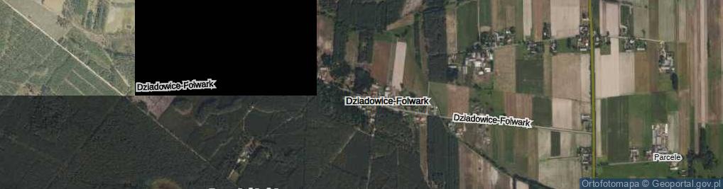 Zdjęcie satelitarne Dziadowice-Folwark ul.