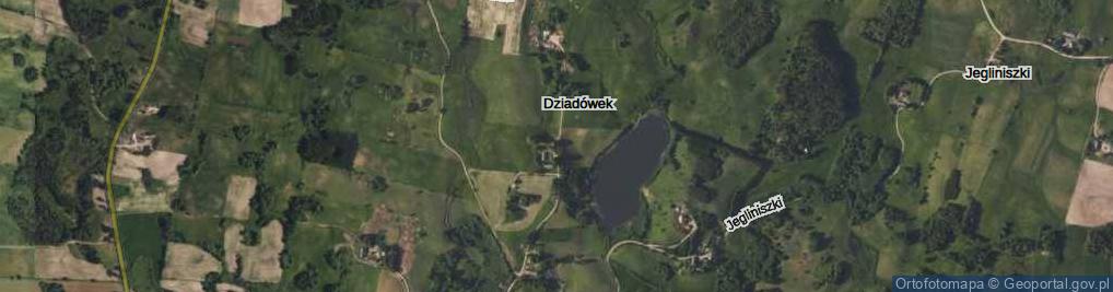 Zdjęcie satelitarne Dziadówek ul.