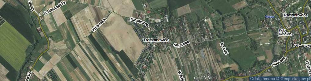 Zdjęcie satelitarne Dziekanowice ul.