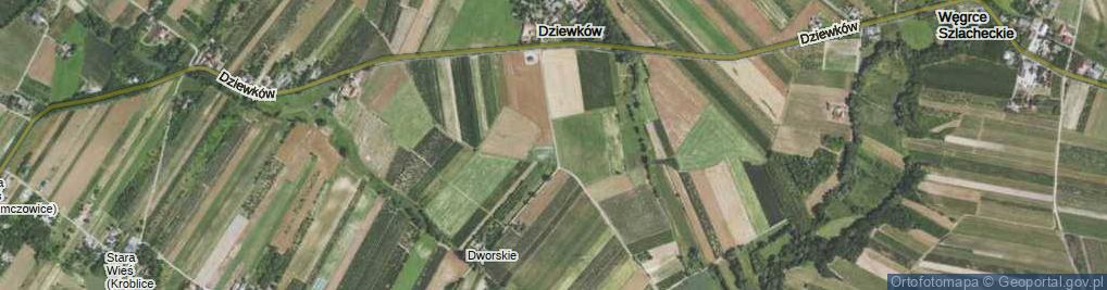 Zdjęcie satelitarne Dziewków ul.