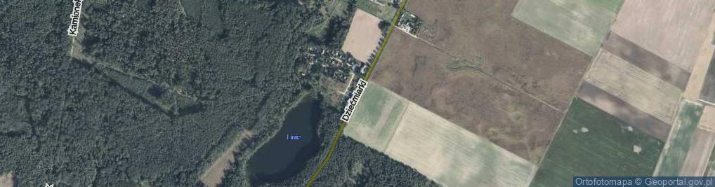 Zdjęcie satelitarne Dziećmiarki ul.