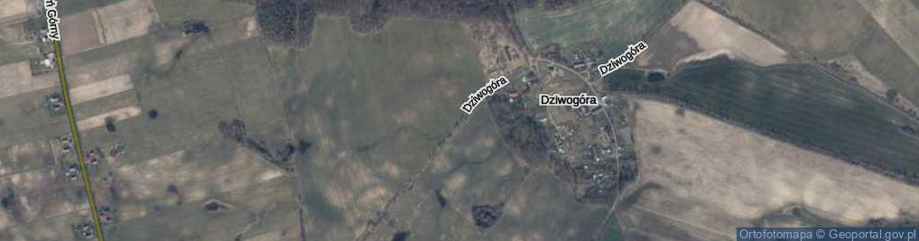 Zdjęcie satelitarne Dziwogóra ul.