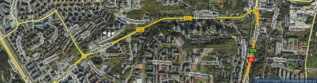 Zdjęcie satelitarne Działyńskiego Mikołaja ul.