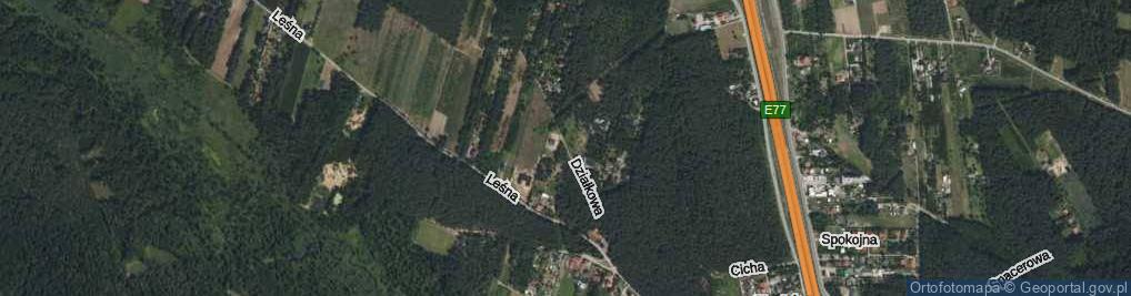 Zdjęcie satelitarne Działkowa ul.