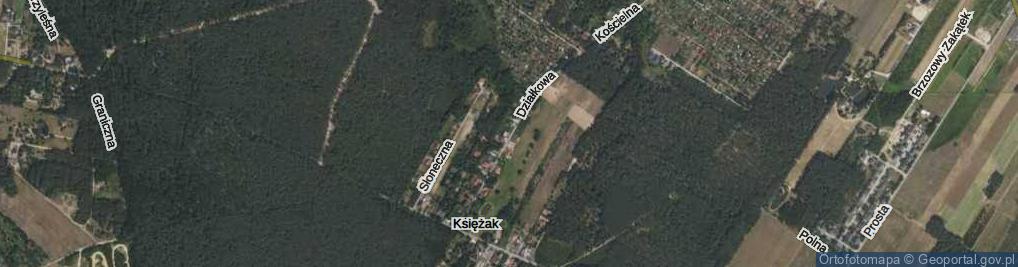 Zdjęcie satelitarne Działkowa ul.