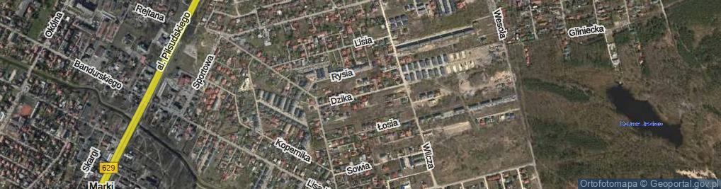 Zdjęcie satelitarne Dzika ul.