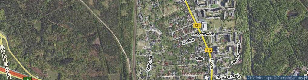 Zdjęcie satelitarne Dziewanny ul.