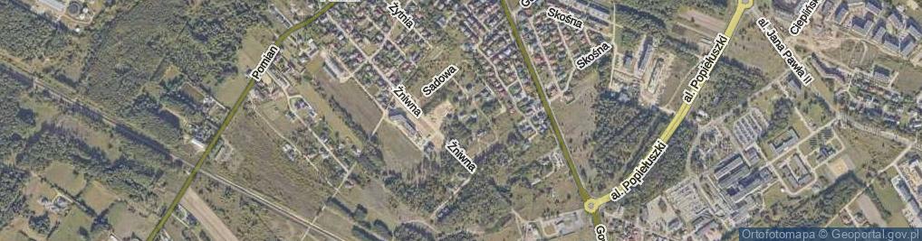 Zdjęcie satelitarne Dziemieszkiewicza-Roja Mieczysława, st. sierż. ul.