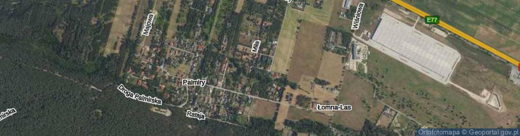 Zdjęcie satelitarne Dzikiej Róży ul.