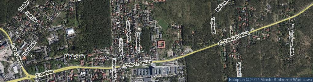 Zdjęcie satelitarne Dzięcieliny ul.