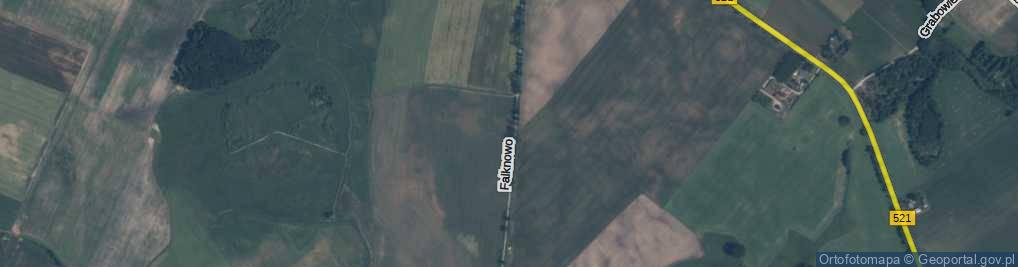 Zdjęcie satelitarne Falknowo ul.