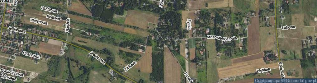 Zdjęcie satelitarne Facelii ul.