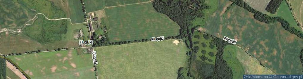 Zdjęcie satelitarne Fiugajki ul.