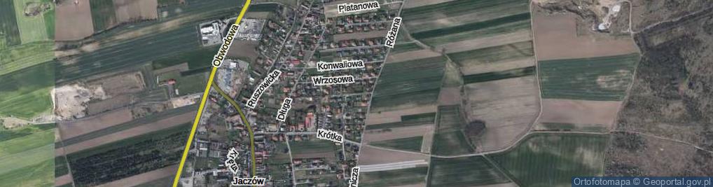 Zdjęcie satelitarne Fiołkowa ul.
