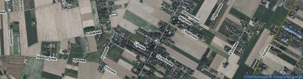 Zdjęcie satelitarne Fiołkowa ul.