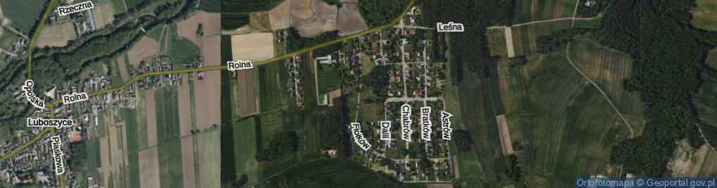 Zdjęcie satelitarne Fiołków ul.