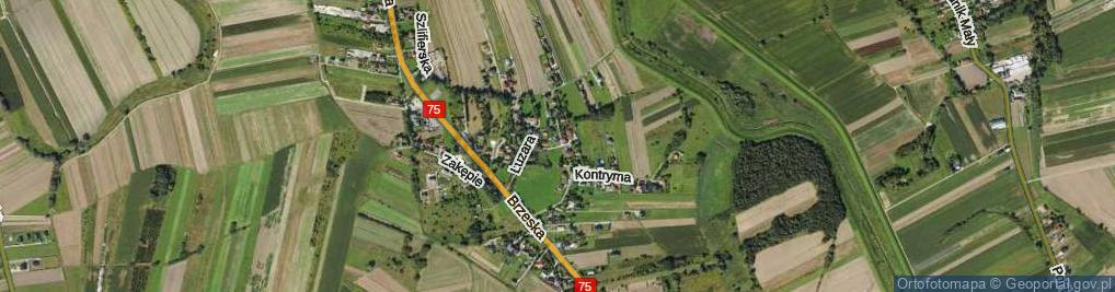 Zdjęcie satelitarne Flame Henryka ul.