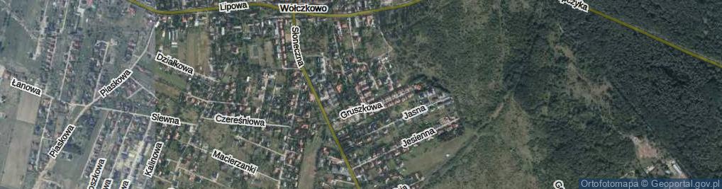 Zdjęcie satelitarne Forsycji ul.