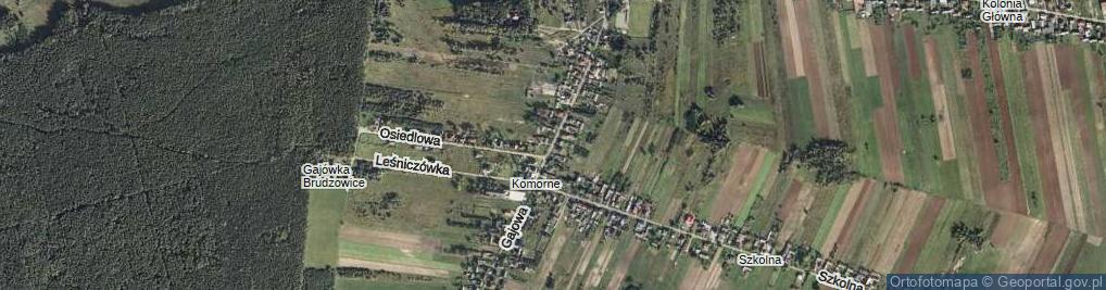 Zdjęcie satelitarne Gajowa ul.