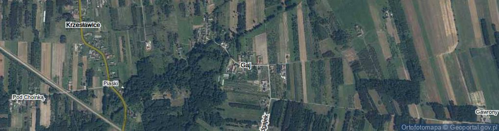 Zdjęcie satelitarne Gaj ul.