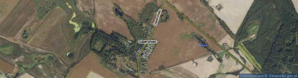 Zdjęcie satelitarne Gawroniec ul.