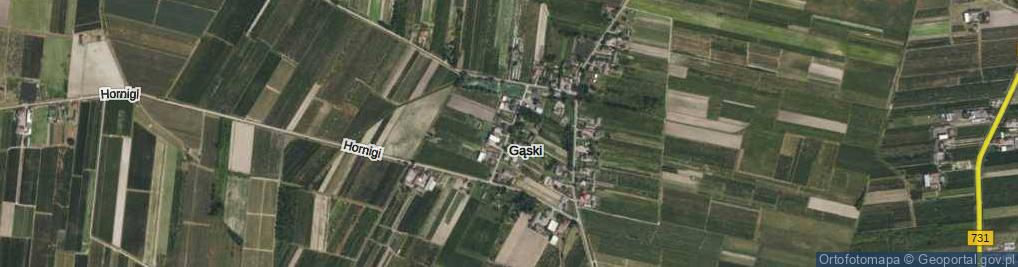 Zdjęcie satelitarne Gąski ul.