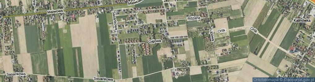 Zdjęcie satelitarne Gajowa ul.